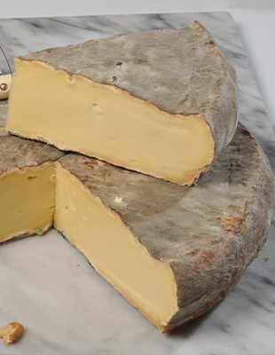 Saint-Nectaire fermier AOP